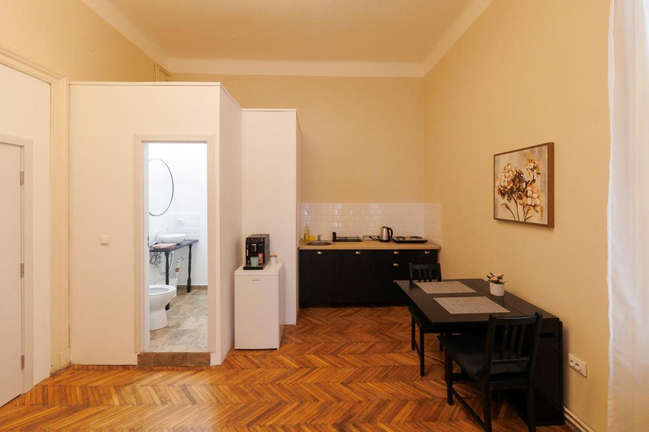 Apartament Spacious Flat In Old Town Wi-fi Timişoara