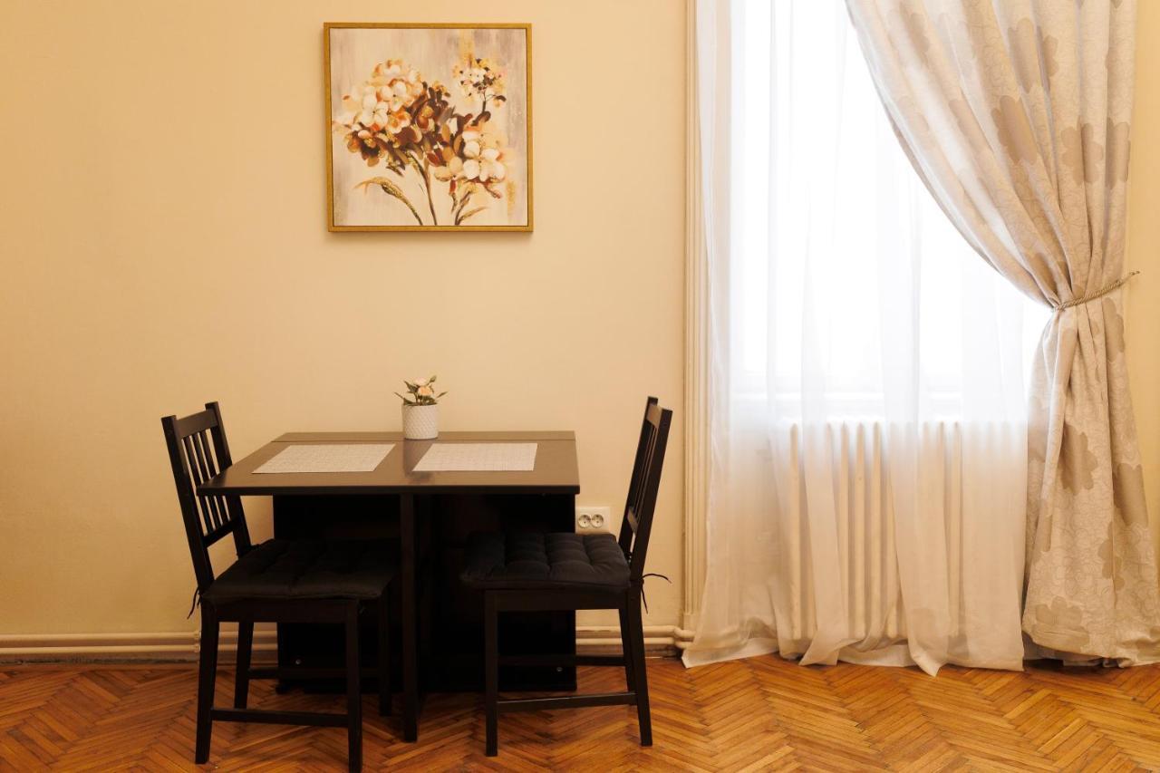 Spacious Flat In Old Town Wi-fi Timişoara